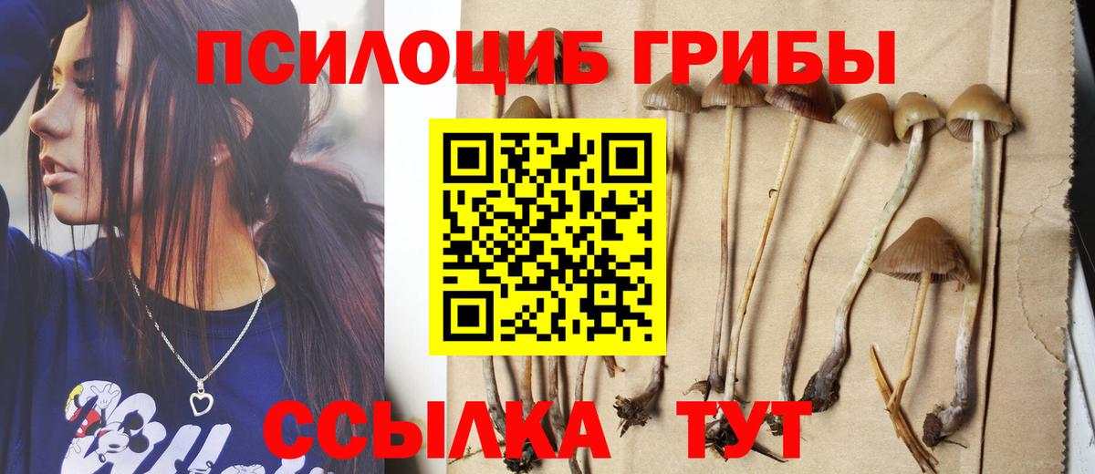 Псилоцибиновые грибы прущие грибы  Гусиноозёрск 